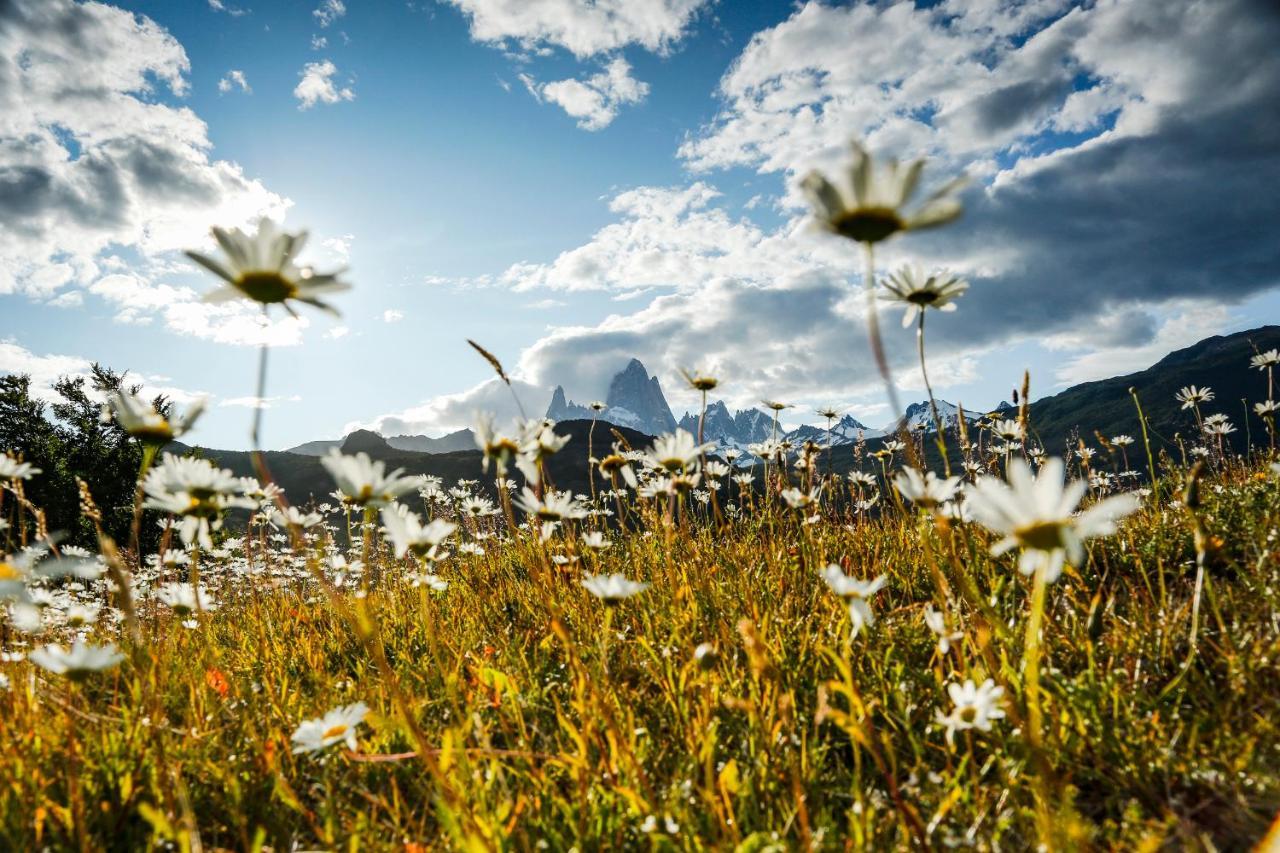 Chalten Camp - Glamping With A View El Chalten Exterior foto